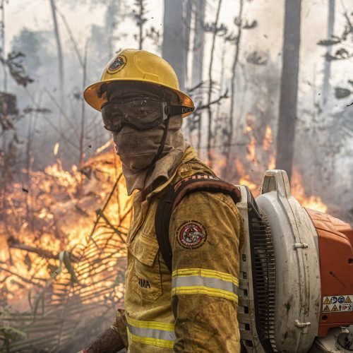 Bombeiros da Paraíba integram força-tarefa contra incêndios em terra indígena de Mato Grosso